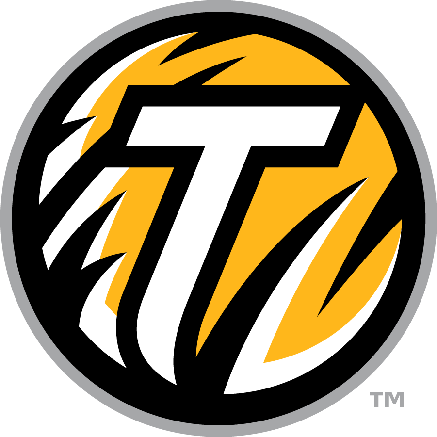 Towson Tigers 2011-2020 Secondary Logo diy DTF decal sticker